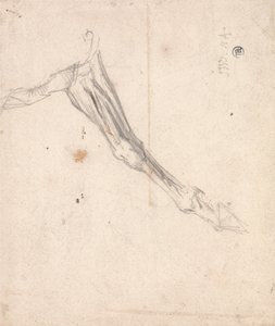馬の前脚：テート・ギャラリーに所蔵されている1827年制作の「L