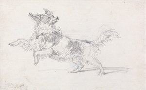 レディロンドンデリーの犬 作： James Ward