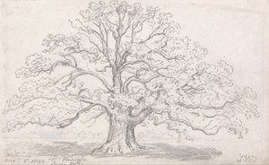 ハワード氏のラージオーク、1820年8月5日 作： James Ward