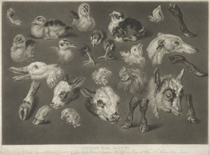 自然からの研究、1807