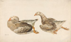 ガチョウの研究 作： James Ward