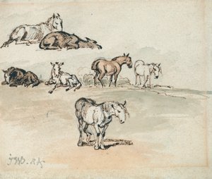 Estudos de Cavalos 作： James Ward