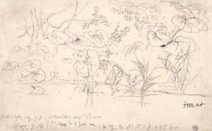 植物の研究、1815 年 8 月 2 日