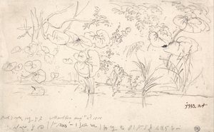 植物の研究、1815年8月2日 作： ジェームズワード