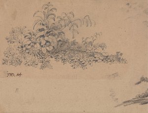 下草の研究 作： James Ward