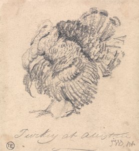 七面鳥の研究 作： James Ward