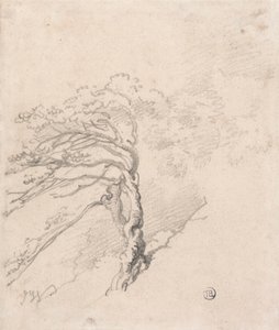 丘の中腹の木 作： James Ward