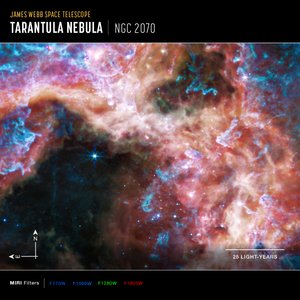 30 ドラドス（MIRIコンパス画像） 作： James Webb Space Telescope (NASA)