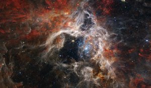 宇宙のタランチュラ