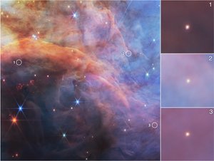 フレーム星雲内の低質量天体（NIRCam画像） 作： James Webb Space Telescope (NASA)