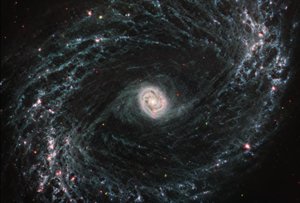 NGC 1433（MIRI画像） 作： James Webb Space Telescope (NASA)