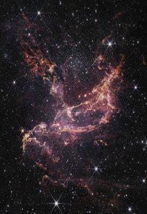 NGC 346（NIRCam画像）