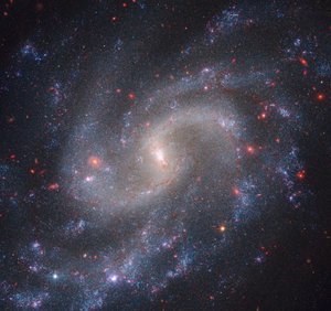 NGC 5584（ウェッブNIRCam＋ハッブルWFC3）
