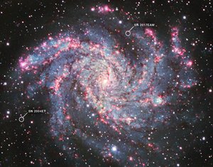 NGC 6946 （キットピーク国立天文台） 作： James Webb Space Telescope (NASA)