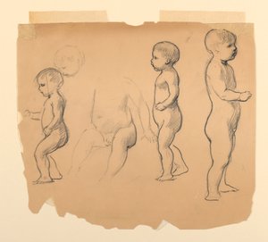 プッティの研究