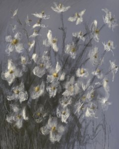 夢のような白い花