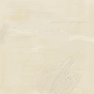 色あせた抽象的な文章 作： 