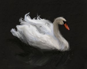 優雅な白鳥 作： 