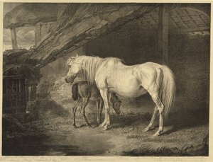 アーティスト、1823-24によって発行された14枚のレーシングプリントのセット、セレブレイテッドホースのプリムローズとフォール