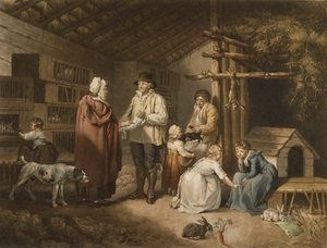 ウィリアムワード（1766-1826）1796（色付きメゾチント）が刻印されたウサギの販売