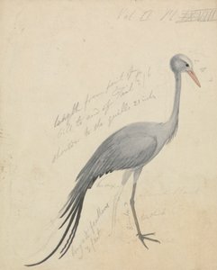Nosturi 作： James de Carle Sowerby