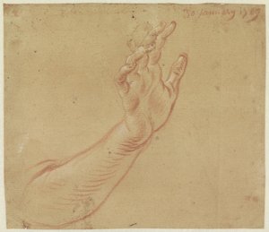 右腕の研究 作： Jan Anton Garemyn