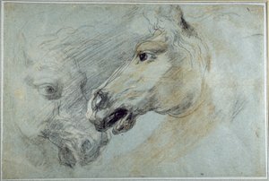 馬の頭の習作2点（青い紙に黒、白、茶のチョークを使用 作： Jan Boeckhorst