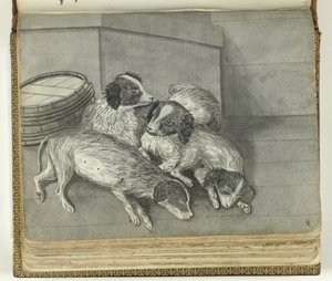 犬 作： Jan Brandes