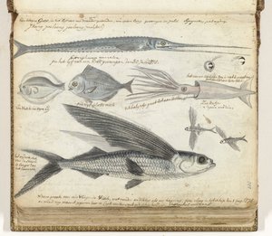 海釣り 作： Jan Brandes
