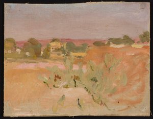 Rosa Landschaft mit Kakteen. Aus einer Reise nach Indien 作： ヤン・シアグリンスキー