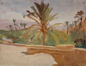 Biskra (ヤシの木のあるオアシス)