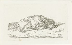 前脚に頭を乗せて寝ている犬 作： Jan Dasveldt