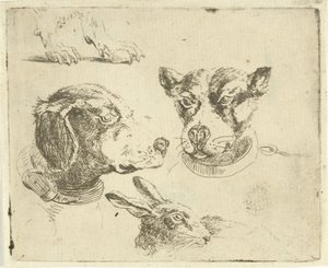 2 つの犬の頭、犬の足、ウサギの頭の学習シート 作： Jan Dasveldt