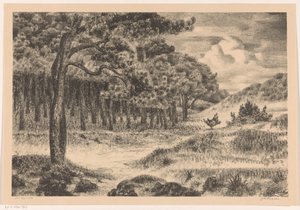 起伏のある風景の中の森 作： Jan Fekkes (signed by artist)