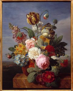 塊根を持つ花の花瓶 ヤン・フランツ・ヴァン・デール（1764-1840