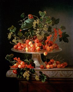 オウムとチェリーとスグリの静物 作： Jan Frans van Son