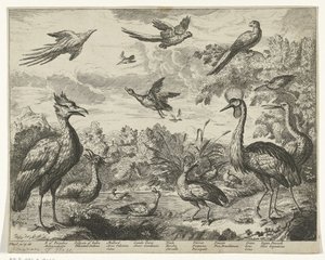 風景の中のさまざまな鳥 作： Jan Griffier (I) (copy after)