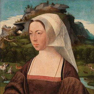 見知らぬ女性の肖像 女性の肖像 作： Jan Jansz Mostaert