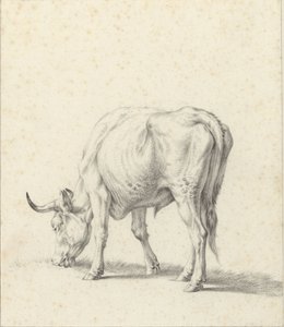 放牧牛 作： Jan Kobell (II)