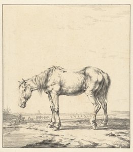 水辺に立つ老馬 作： Jan Kobell (II)