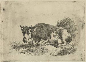 横になっている牛 作： Jan Kobell (III)