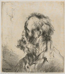  作： Jan Lievens
