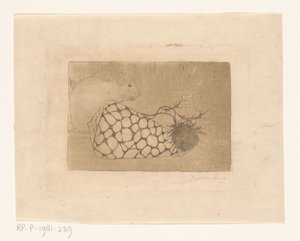 マウス、シェル、アザミ 作： Jan Mankes (signed by artist)