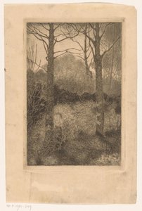 森の端 作： Jan Mankes
