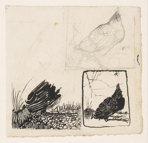 蚊を見上げるカラス 作： Jan Mankes