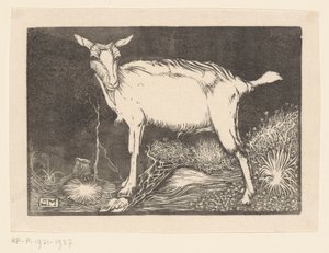 白ヤギ 作： Jan Mankes