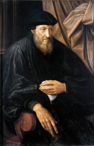 老人（アンドレア・ドーリアと思われる）の肖像（アンドレア・ドーリアまたはドーリア（1466-1560）ジェノバ出身のイタリアのコンドッティア、提督） ヤン・メッツィス（またはマッスィス）（1509-1575）による絵画、1552年頃 Genes, Musei di Strada Nuova（元Palazzo Bianco)