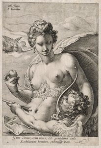金星とキューピッド、c。 1595年。 作： Jan Saenredam