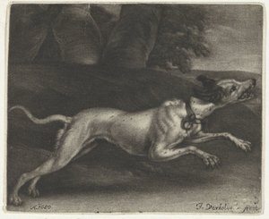 走る犬 作： Jan Verkolje (I)