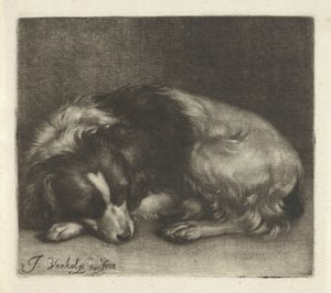 眠っている犬、おそらくスパニエル 作： Jan Verkolje (I)